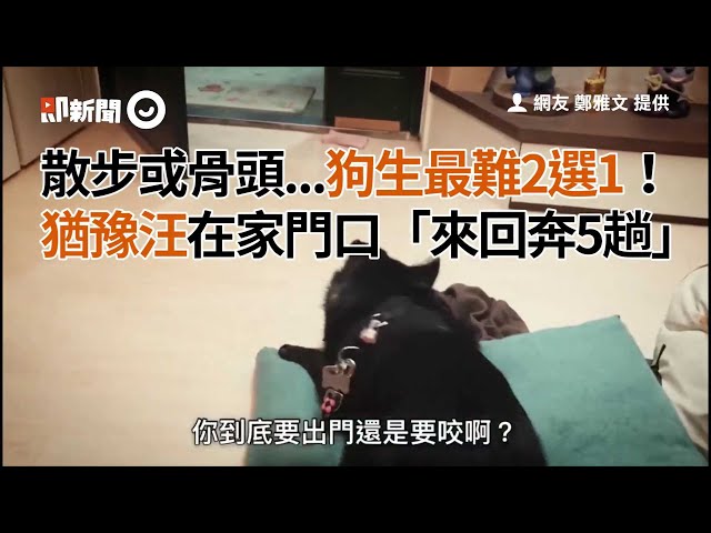 散步或骨頭...狗生最難2選1!猶豫汪在家門口「來回奔5趟」│寵物│狗狗